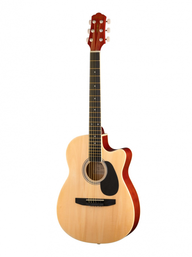 CAG110CNA Акустическая гитара с вырезом  38" Naranda