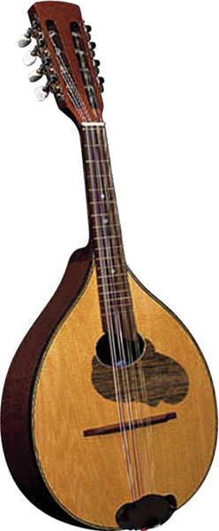 594C Мандолина Strunal