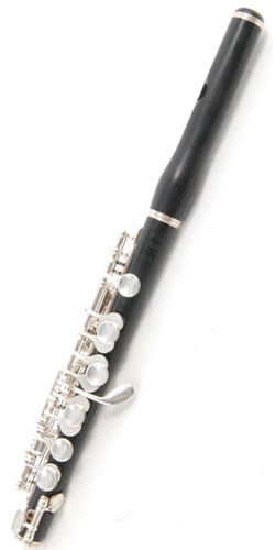 Флейта-пикколо Philipp Hammig PH-650/1Ag
