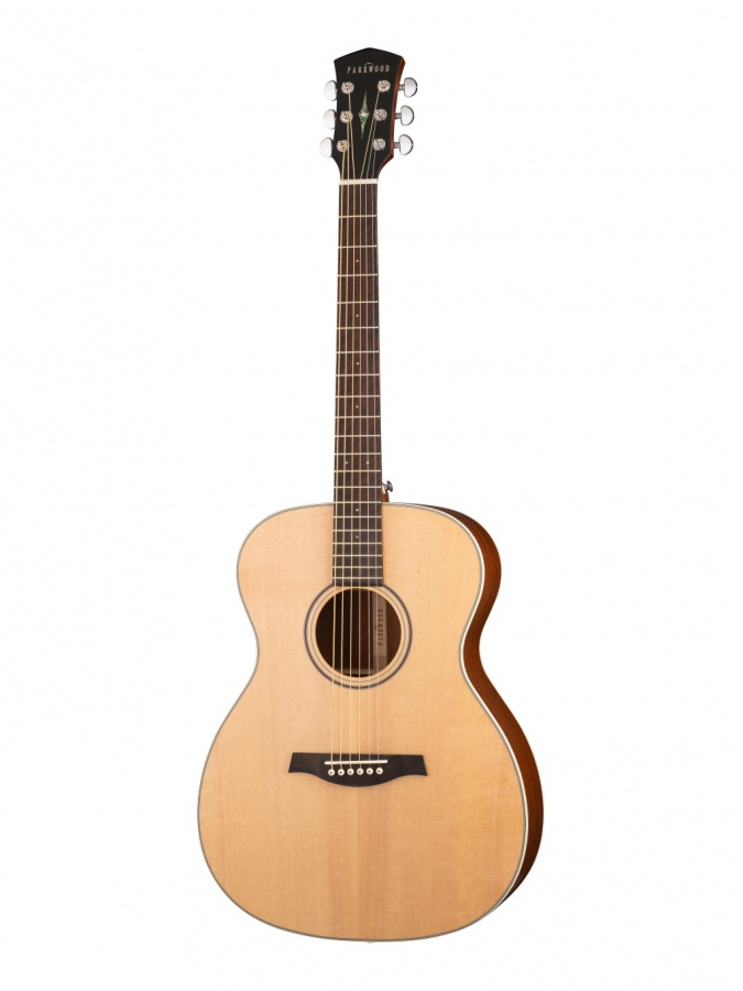 S22-GT Акустическая гитара, с чехлом, глянец, Parkwood