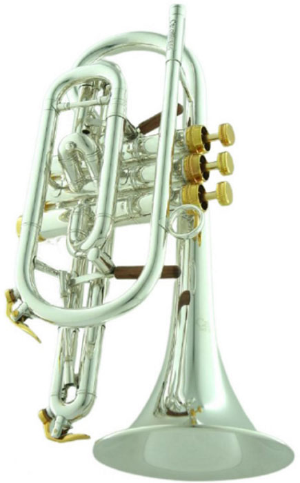Корнет Bb CarolBrass CCR-6882T-GSS-Bb-SG