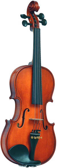 Скрипка Gliga Genial1 S-V018