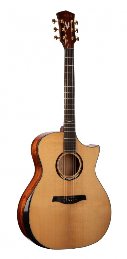 GA980ADK-NAT Электро-акустическая гитара, цвет натуральный, кейс, Parkwood