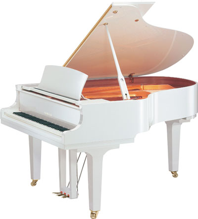 Grand piano Yamaha C5 PWH//X.LZ.with bench
