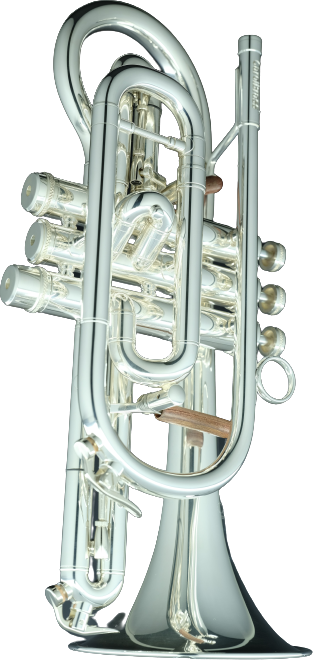 Корнет Bb CarolBrass CCR-6882T-GSS-Bb-S