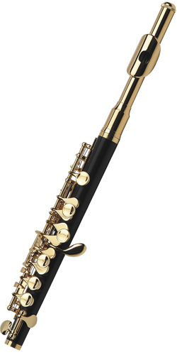 Флейта-пикколо Artemis RPL-101G