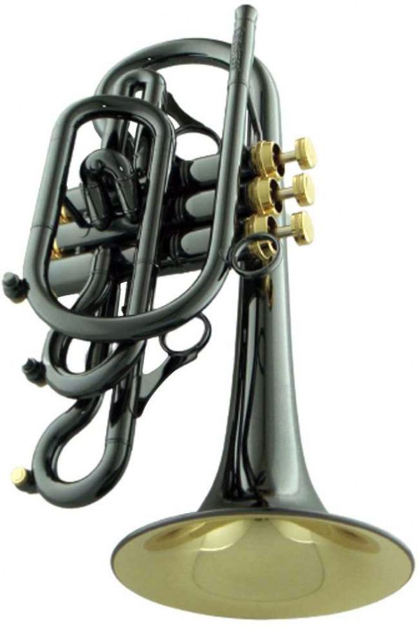 Корнет Bb CarolBrass CCR-7770R-YSS(D)-Bb-BG(PIB)