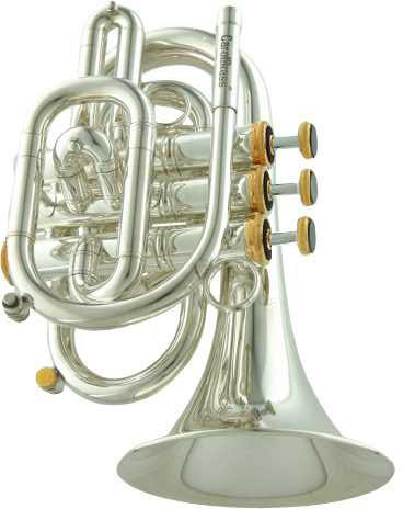 Карманная труба Bb CarolBrass CPT-3000-GLS-Bb-SG