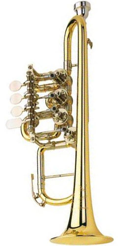 Роторная труба G Scherzer JS8113G-1-0D