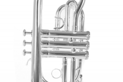 ROY BENSON CR-202S корнет