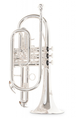 ROY BENSON CR-202S корнет