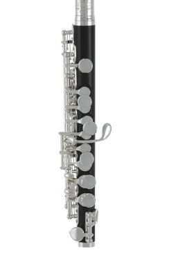 ROY BENSON PC-502 флейта Piccolo