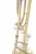 ROY BENSON TT-227F тенор-тромбон Bb/F (Gb) ROY BENSON TT-227F тенор-тромбон Bb/F (Gb)
