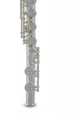 ROY BENSON FL-402E флейта (Ми -механика)