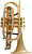 Корнет Bb CarolBrass Legendary CCR-9392T-GLS(D)-Bb-SLB(PIB)