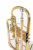 ROY BENSON CR-202 корнет ROY BENSON CR-202 корнет