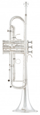 Труба Bb Arnolds&Sons ATR - 5600GS -Terra- Bb/C
