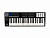 Panda-49C MIDI-контроллер, 49 клавиш, Laudio