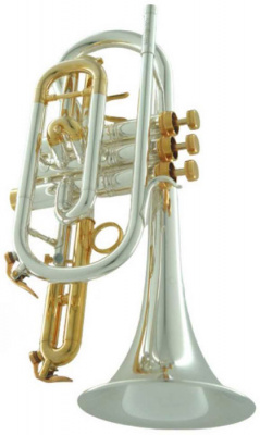 Корнет Bb CarolBrass CCR-6880-GSS-Bb-SGG