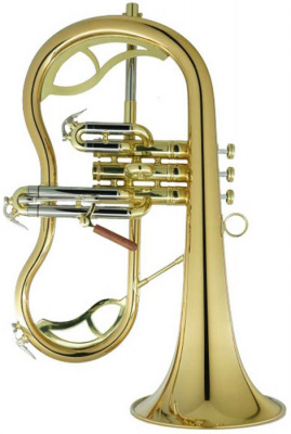 Флюгельгорн CarolBrass Legendary CFL-7200-GSS-Bb-L