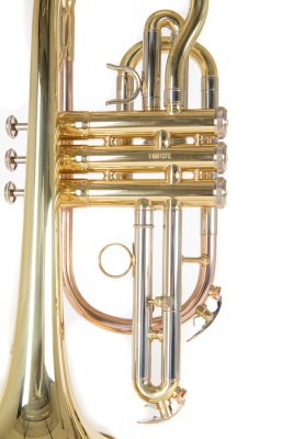 ROY BENSON CR-202 корнет