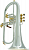 Флюгельгорн CarolBrass CFL-6200-GSS-Bb-SGG(PIB)