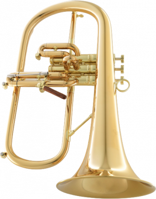 Флюгельгорн CarolBrass CFL-8880-GSS-Bb-L