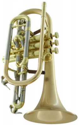 Корнет Bb CarolBrass CCR-6882T-GSS-Bb-SLB