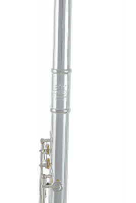 ROY BENSON FL-602RE флейта (Ми-механика)