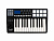 Panda-25C MIDI-контроллер, 25 клавиш, LAudio