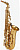 Саксофон-альт Woodstone WSA-GP