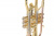 ROY BENSON CR-202 корнет ROY BENSON CR-202 корнет