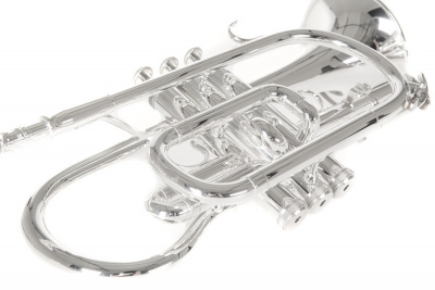 ROY BENSON CR-202S корнет