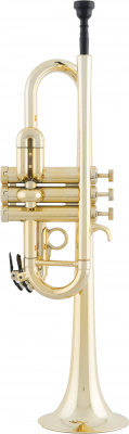 Пластиковая труба in C TROMBA Gold color