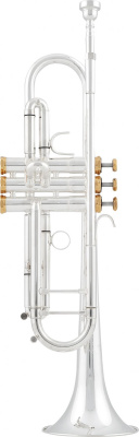 Труба Bb Arnolds&Sons ATR - 5200GSG -Terra-