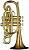Корнет Bb CarolBrass Legendary CCR-7770R-RLM-Bb-L