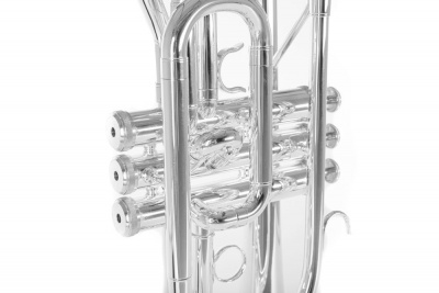 ROY BENSON CR-202S корнет