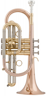 Корнет Arnolds&Sons ACR - 655G