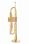 ROY BENSON TR-101 Bb труба (цвет золото)