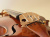 Струна A для скрипки Warchal Amber 702