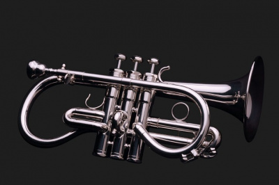 Корнет Schilke Eb Soprano Cornet