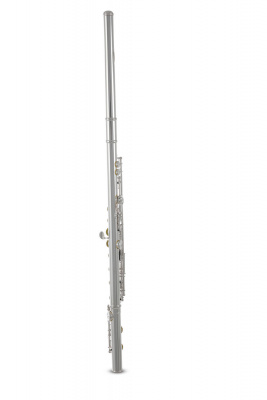 ROY BENSON FL-602E флейта (Ми-механика)
