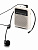 WS-VA030-Pro Переносной громкоговоритель для гида, 5Вт, LAudio