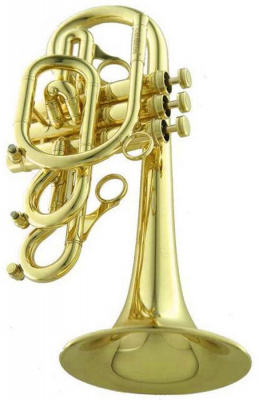 Корнет C CarolBrass Legendary CCR-7772R-YSS(D)-C-L