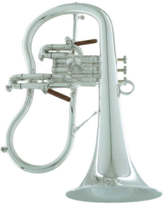 Флюгельгорн CarolBrass Legendary CFL-7200-RSS-Bb-SNB