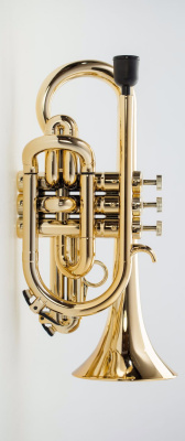 Пластиковый корнет TROMBA Gold color