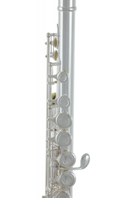 ROY BENSON FL-402E2 флейта (Ми-механика)