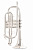 ROY BENSON CR-202S корнет