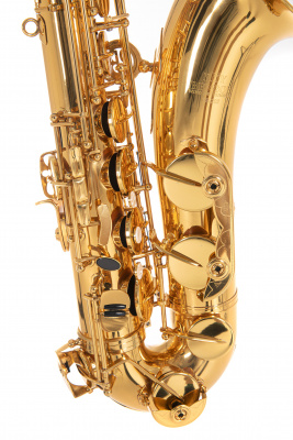 ROY BENSON TS-202 Bb тенор саксофон