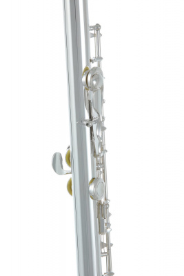 ROY BENSON FL-102 флейта (детская , Упрощенная механика)